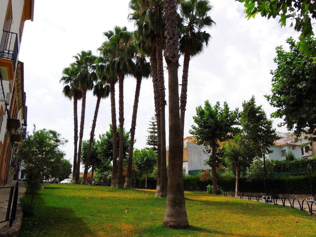 Foto de Prado del Rey (Cádiz), España