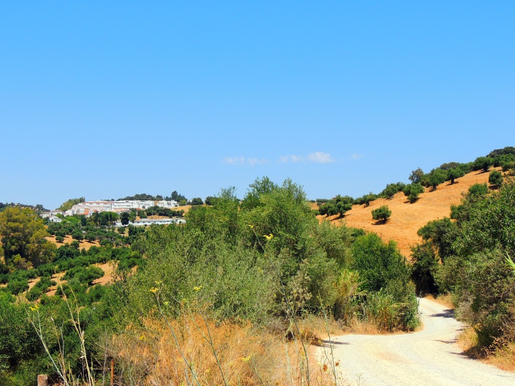 Foto de Prado del Rey (Cádiz), España