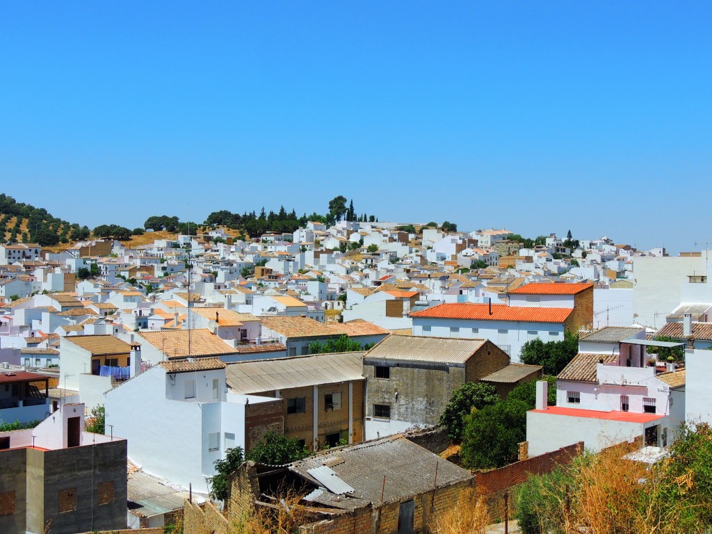 Foto de Prado del Rey (Cádiz), España