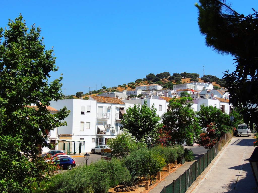 Foto de Prado del Rey (Cádiz), España