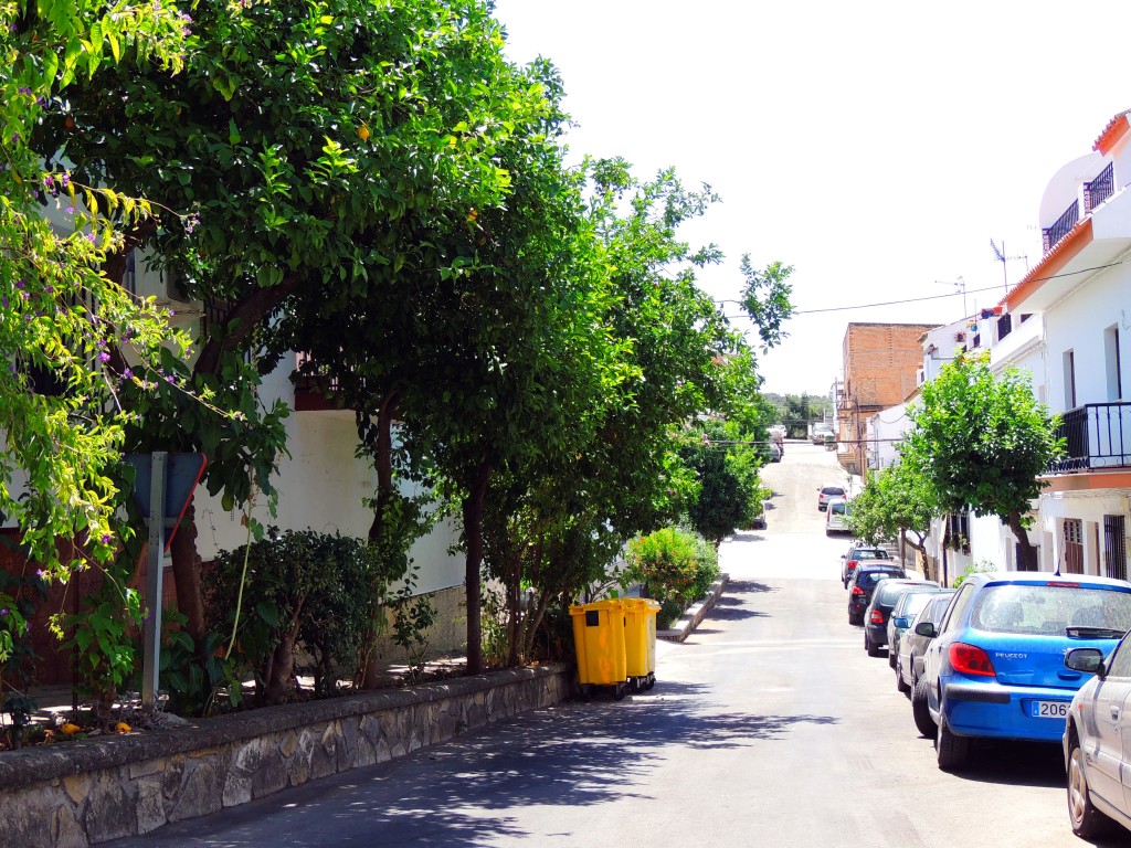 Foto de Prado del Rey (Cádiz), España