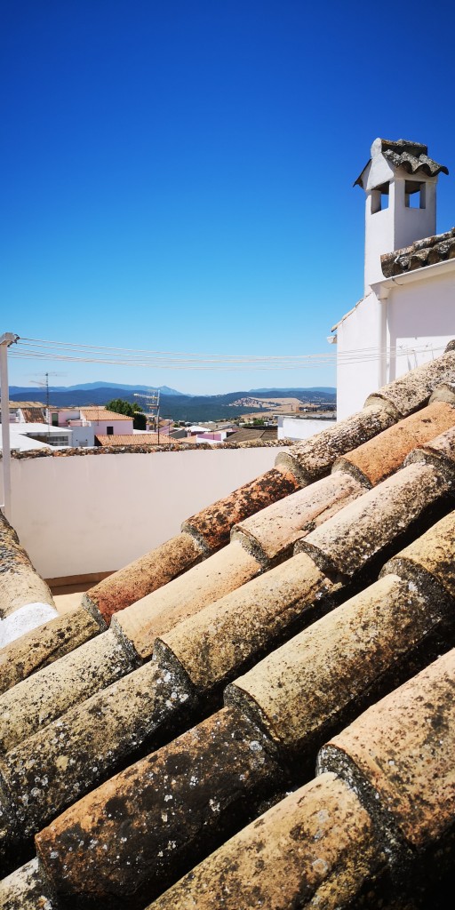 Foto de Prado del Rey (Cádiz), España