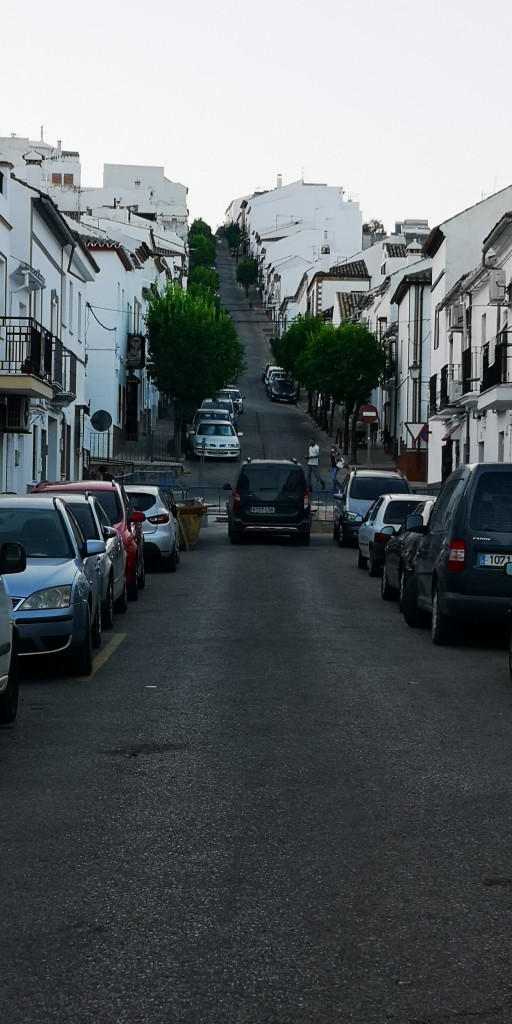 Foto de Prado del Rey (Cádiz), España