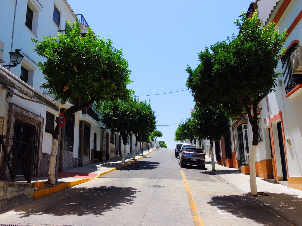 Foto de Prado del Rey (Cádiz), España