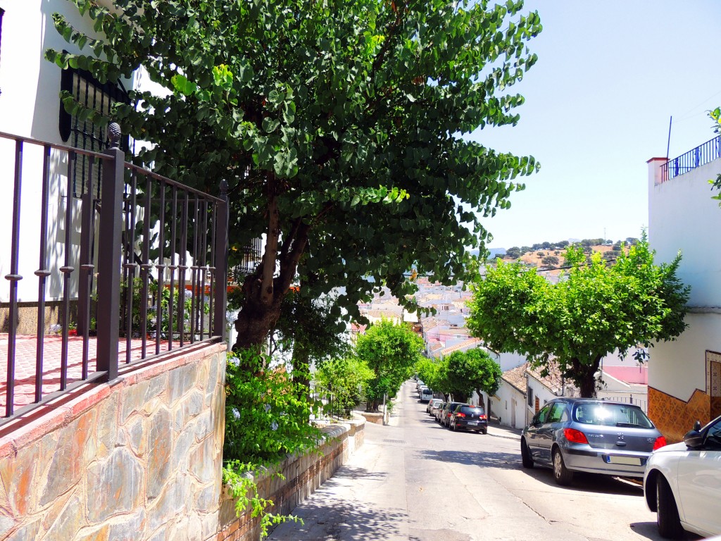 Foto de Prado del Rey (Cádiz), España