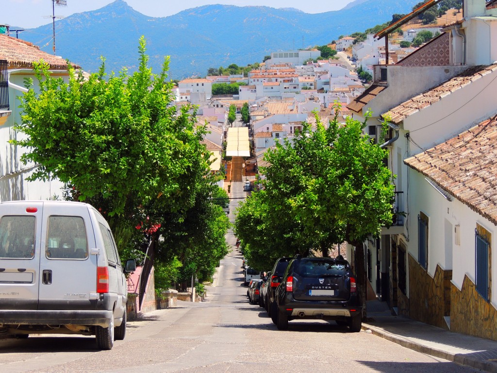 Foto de Prado del Rey (Cádiz), España