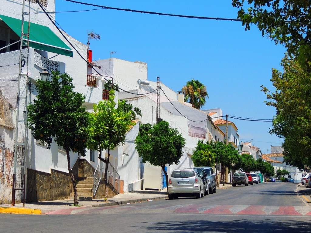 Foto de Prado del Rey (Cádiz), España