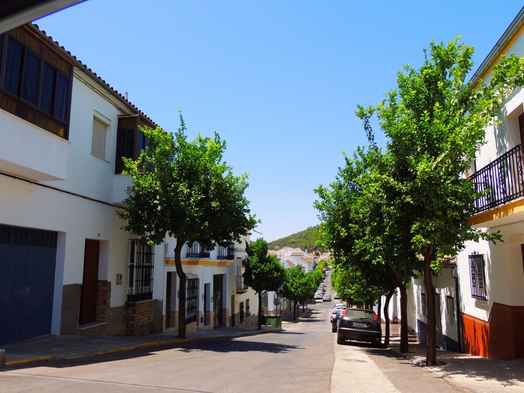 Foto de Prado del Rey (Cádiz), España