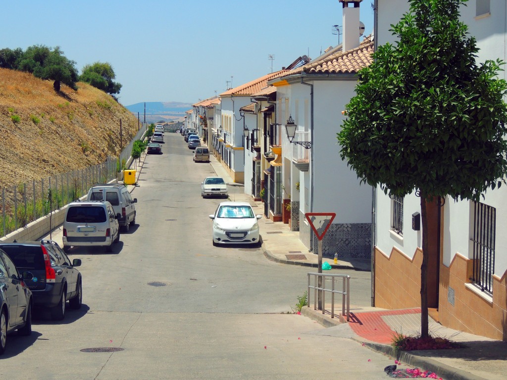 Foto de Prado del Rey (Cádiz), España