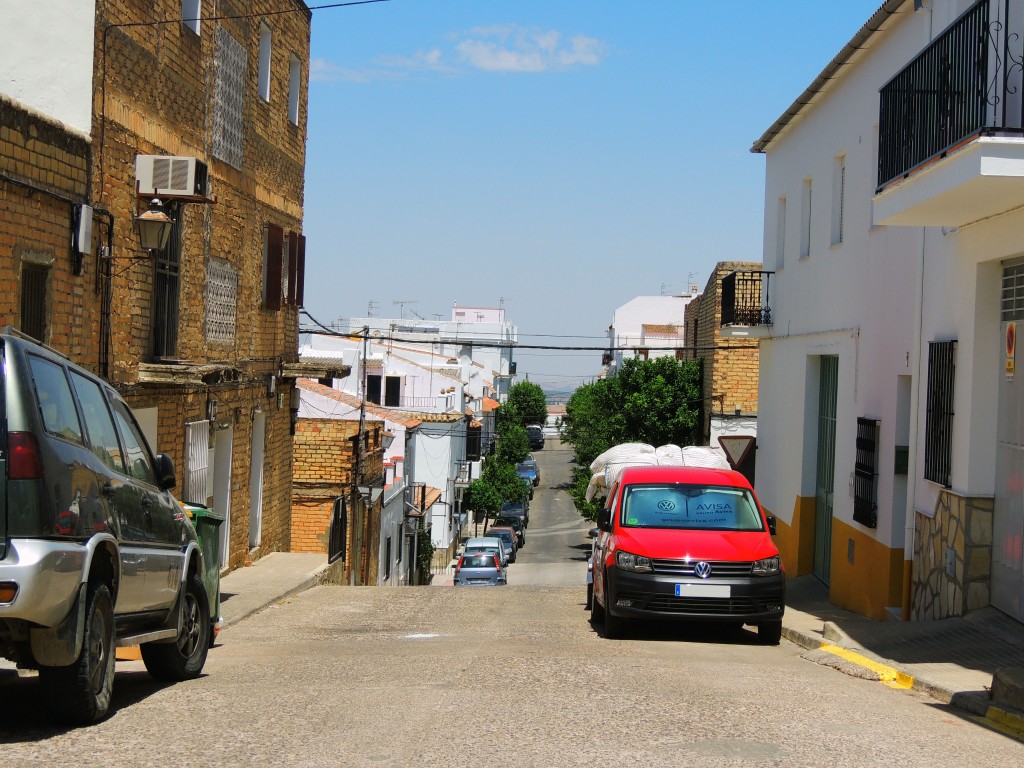 Foto de Prado del Rey (Cádiz), España