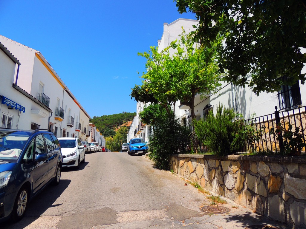 Foto de Prado del Rey (Cádiz), España