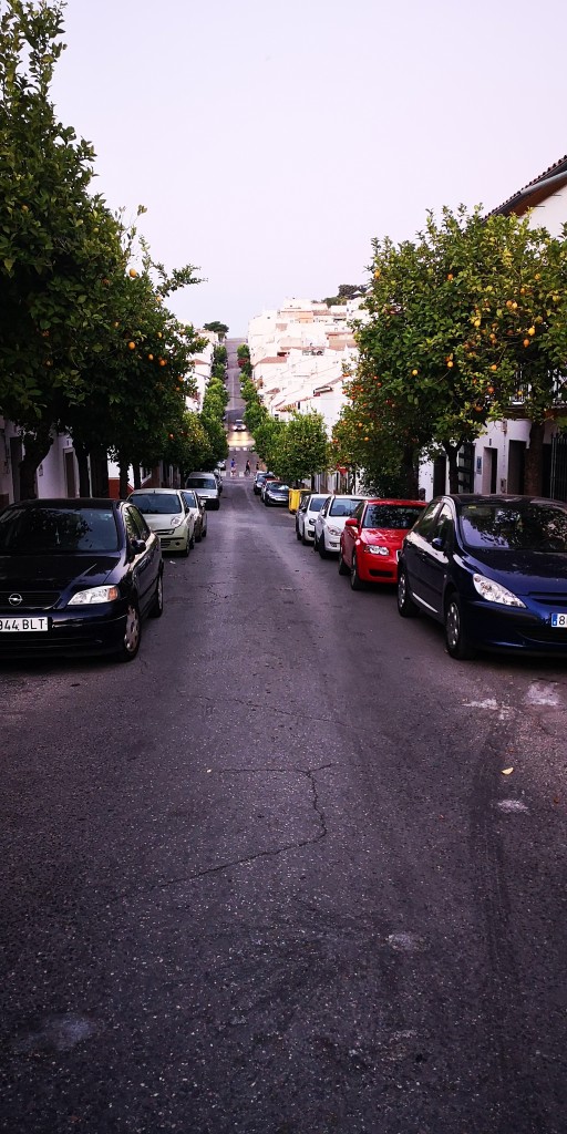 Foto de Prado del Rey (Cádiz), España