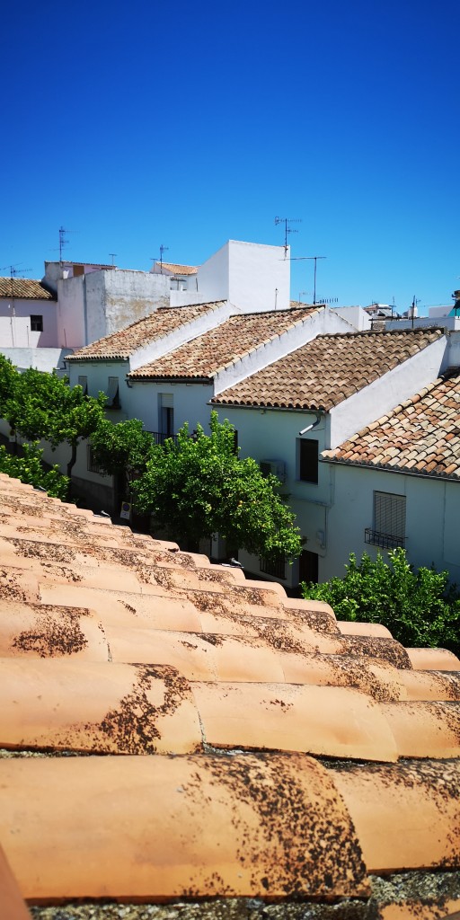 Foto de Prado del Rey (Cádiz), España