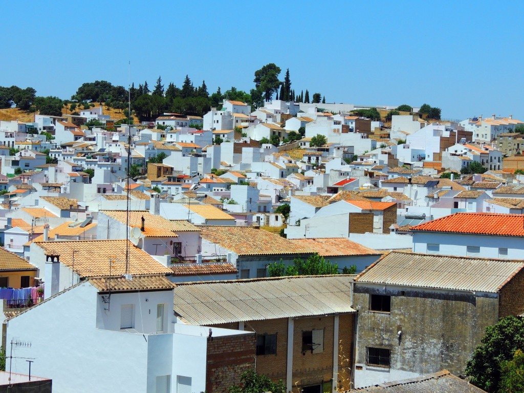 Foto de Prado del Rey (Cádiz), España