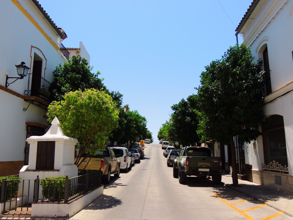 Foto de Prado del Rey (Cádiz), España