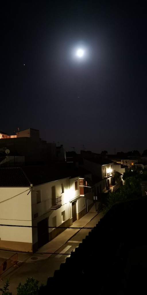 Foto de Prado del Rey (Cádiz), España