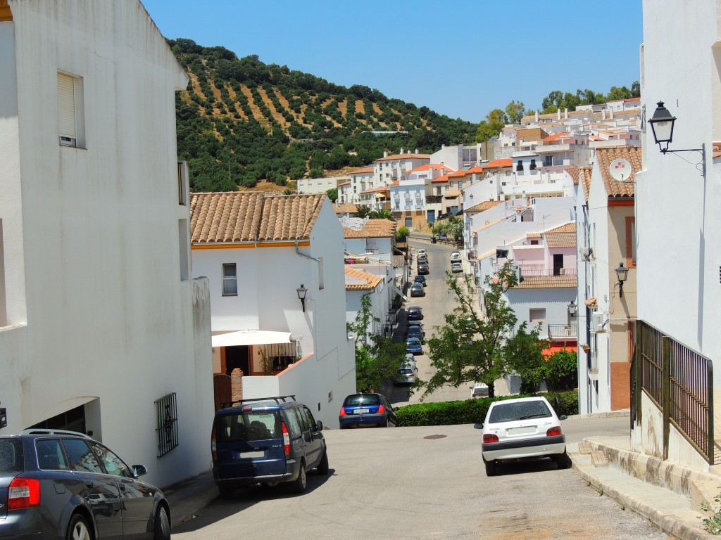 Foto de Prado del Rey (Cádiz), España