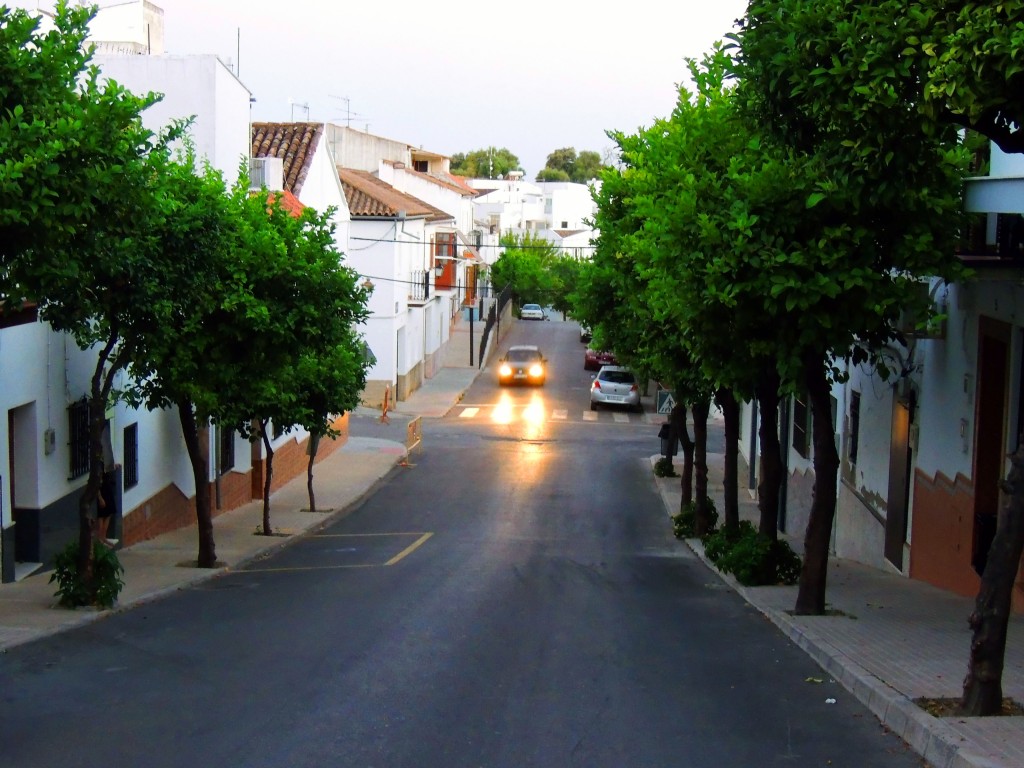 Foto de Prado del Rey (Cádiz), España