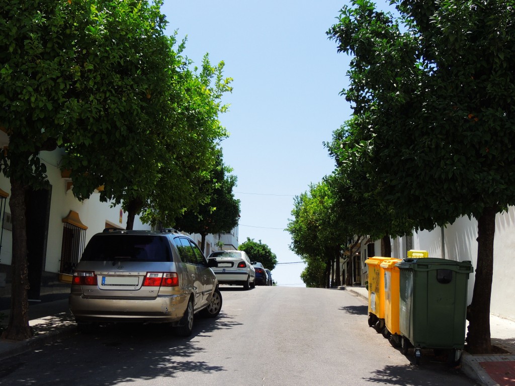 Foto de Prado del Rey (Cádiz), España