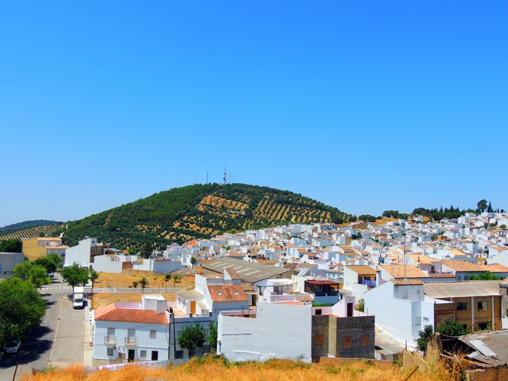 Foto de Prado del Rey (Cádiz), España