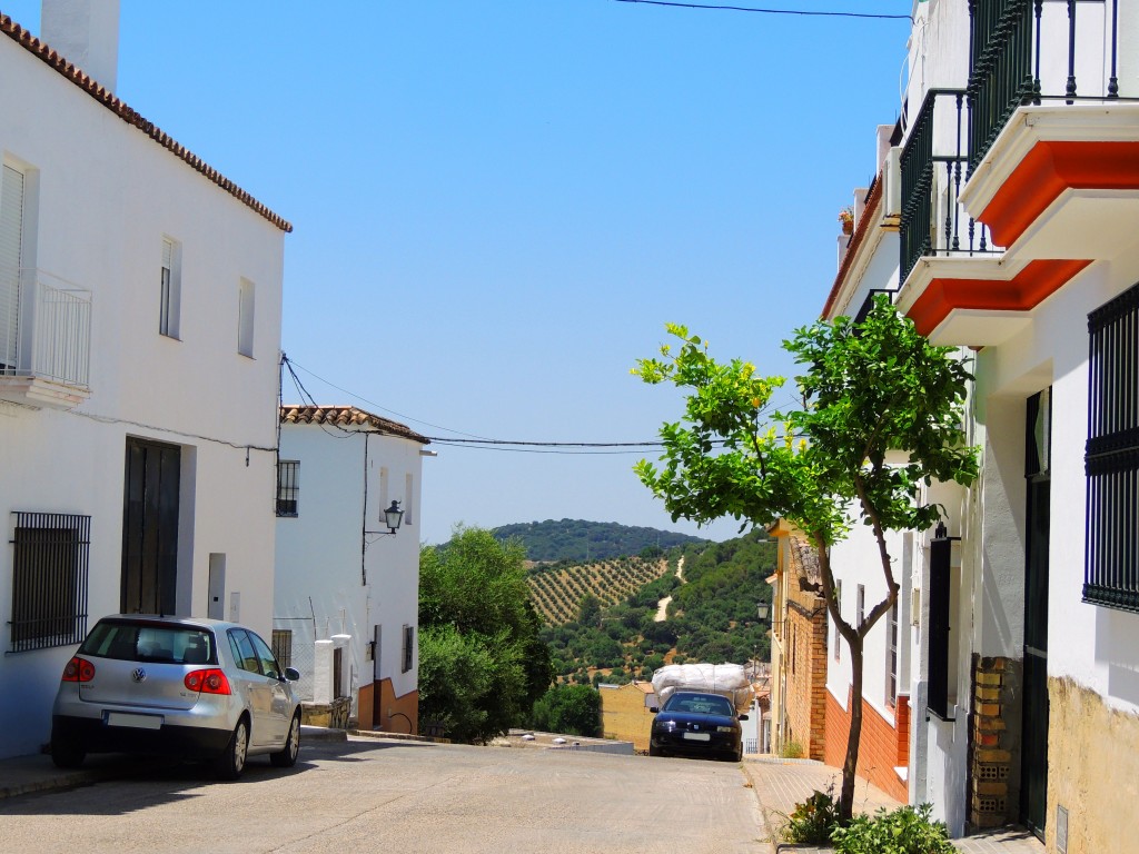 Foto de Prado del Rey (Cádiz), España