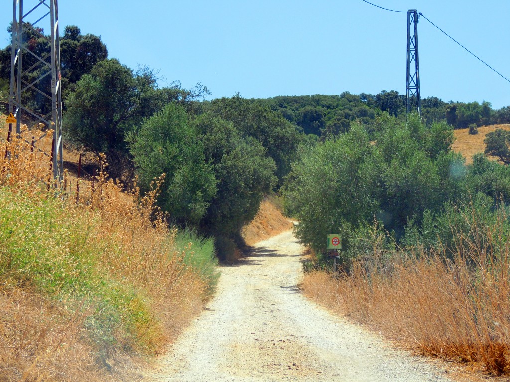 Foto de Prado del Rey (Cádiz), España