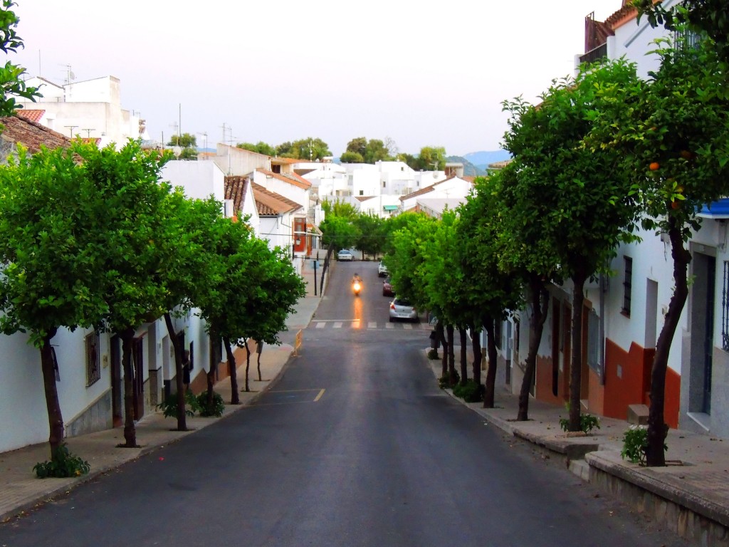 Foto de Prado del Rey (Cádiz), España