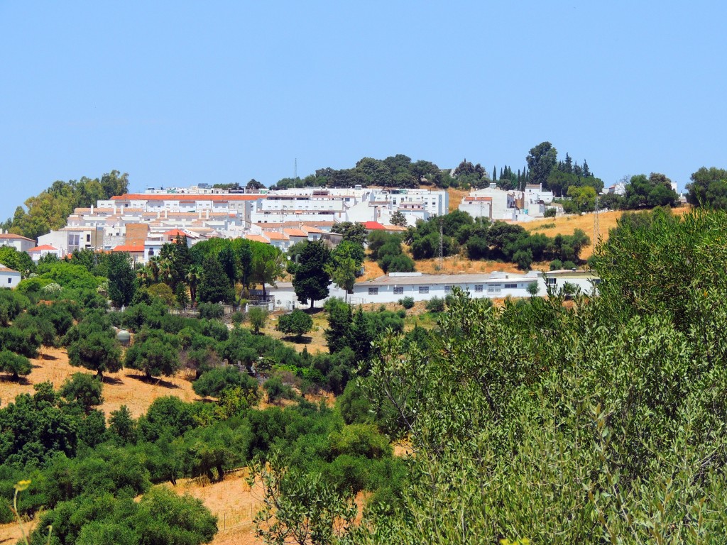 Foto de Prado del Rey (Cádiz), España