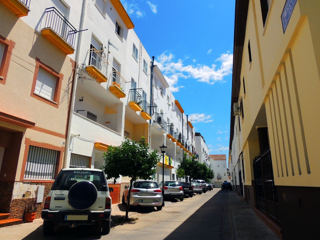 Foto de Prado del Rey (Cádiz), España