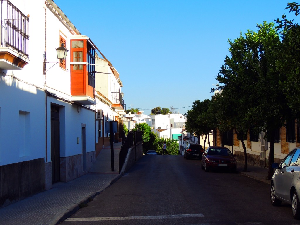 Foto de Prado del Rey (Cádiz), España