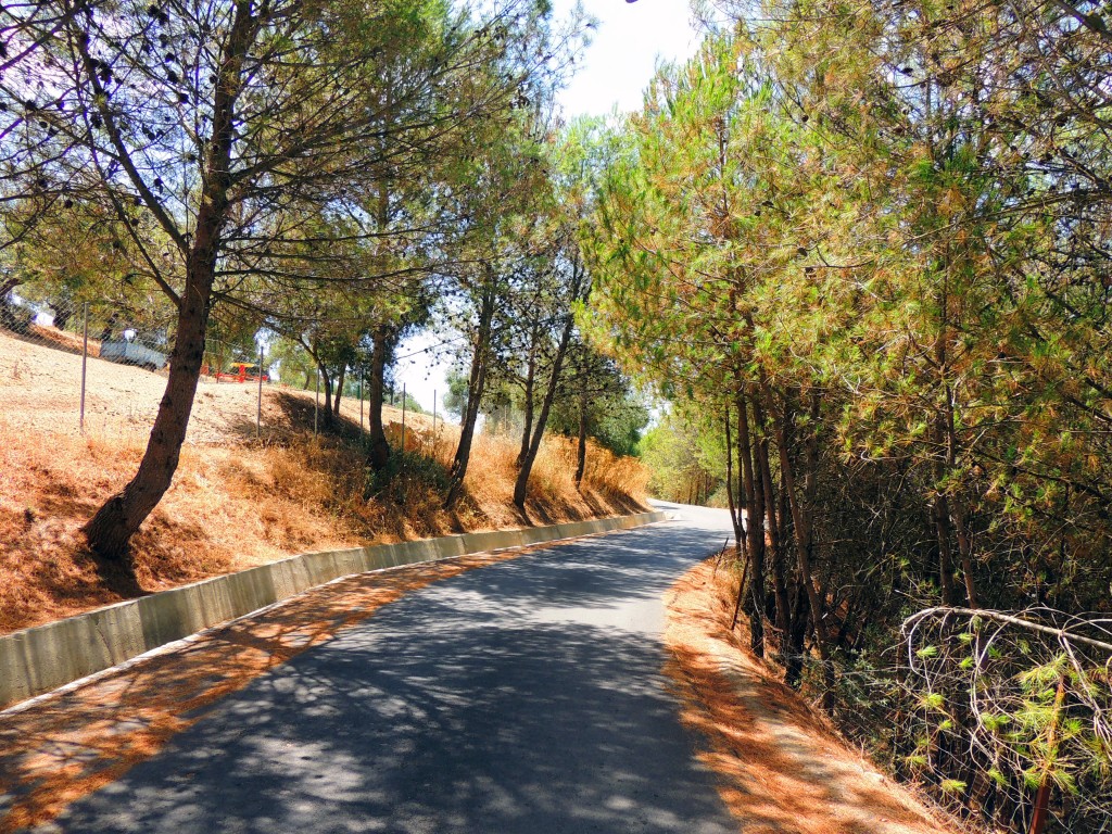 Foto de Prado del Rey (Cádiz), España