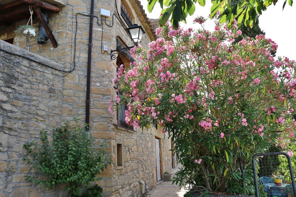 Foto: Pueblo medieval - Talamanca (Barcelona), España