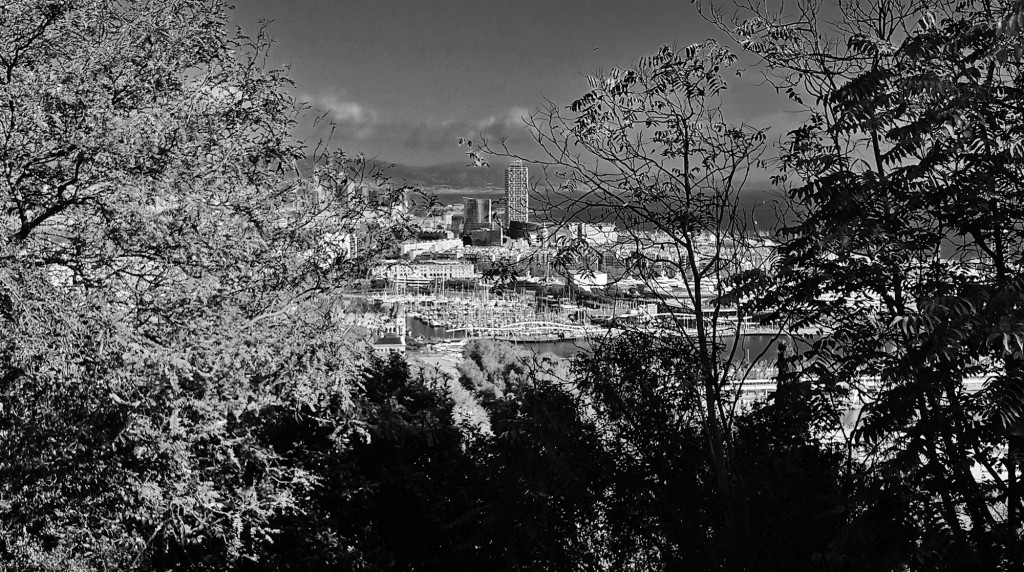 Foto: Vistas desde Montjuïc - Barcelona (Cataluña), España