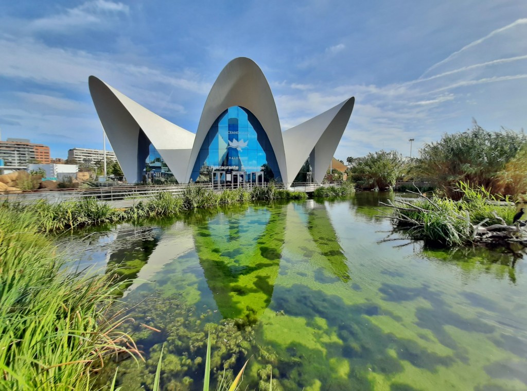 Foto: Oceanográfico - Valencia (València), España