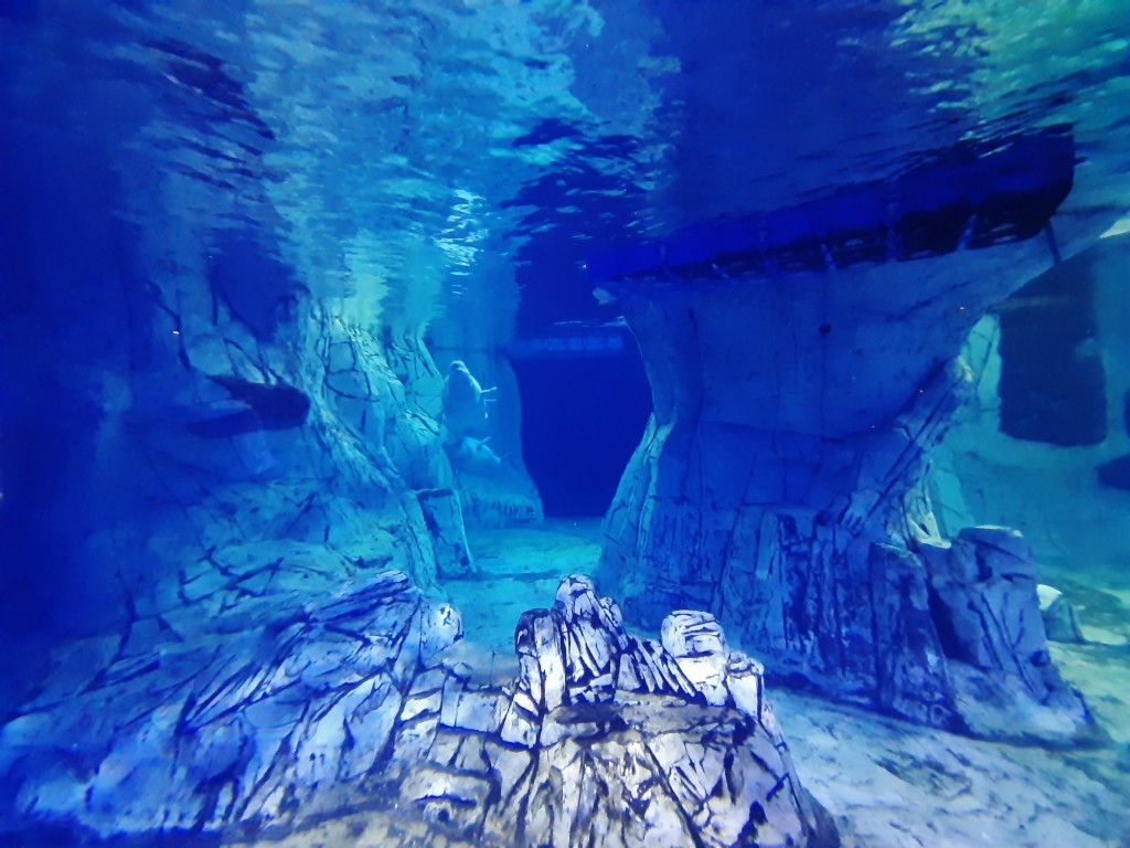 Foto: Oceanográfico - Valencia (València), España