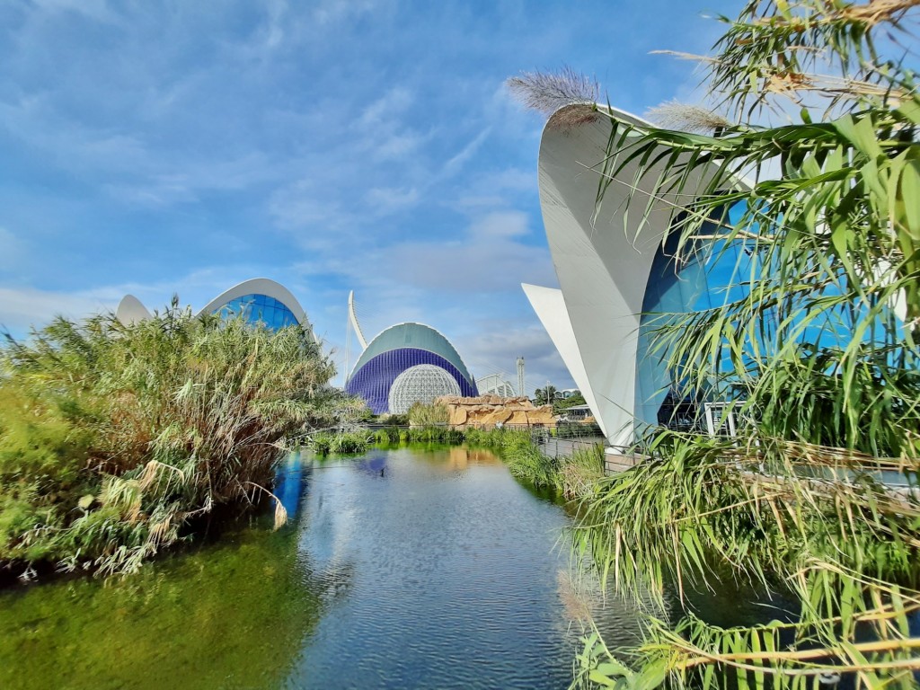 Foto: Oceanográfico - Valencia (València), España