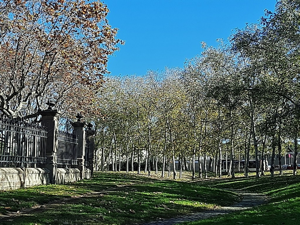 Foto: Parque - Barcelona (Cataluña), España