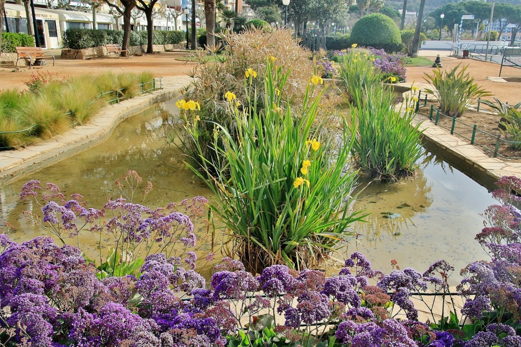 Foto: Paseo Marítimo - Blanes (Girona), España