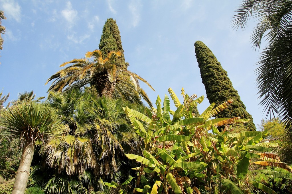 Foto: Jardín Botánico - Blanes (Girona), España