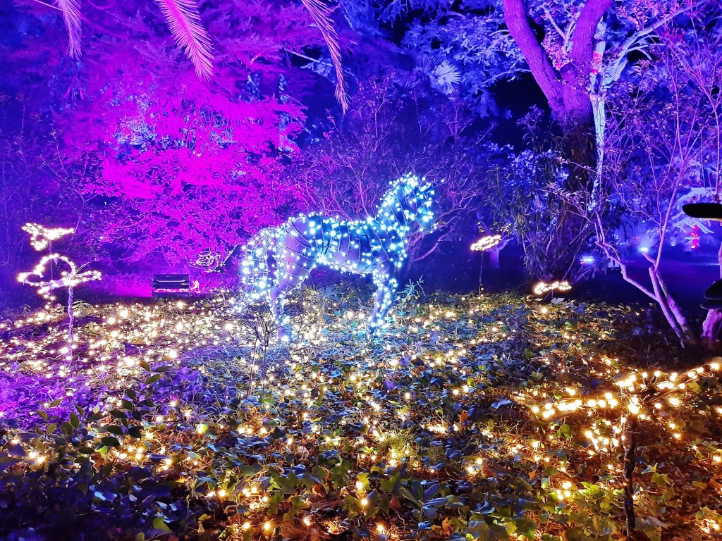 Foto: Espectáculo de luces - Barcelona (Cataluña), España