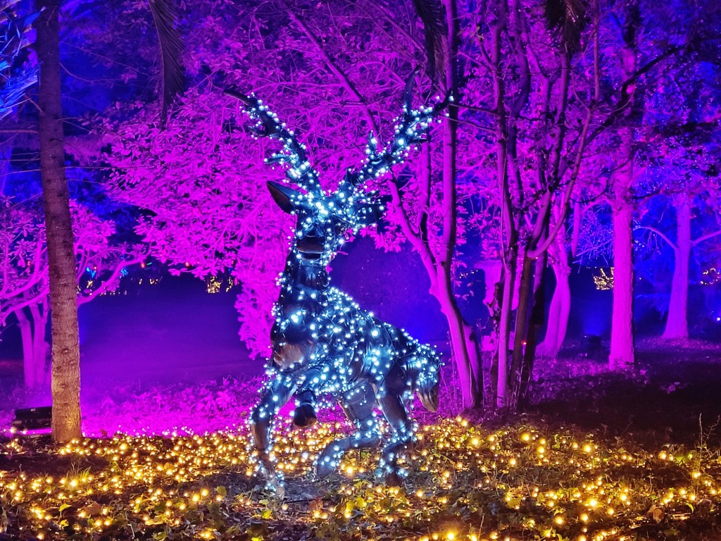 Foto: Espectáculo de luces - Barcelona (Cataluña), España