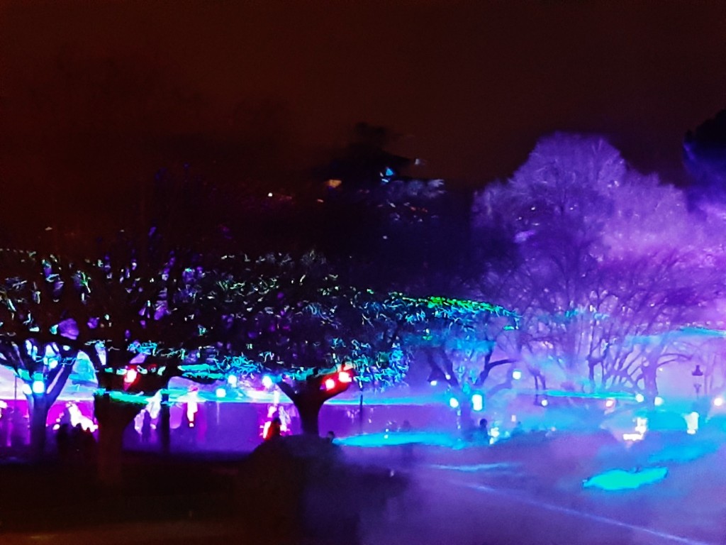 Foto: Espectáculo de luces - Barcelona (Cataluña), España