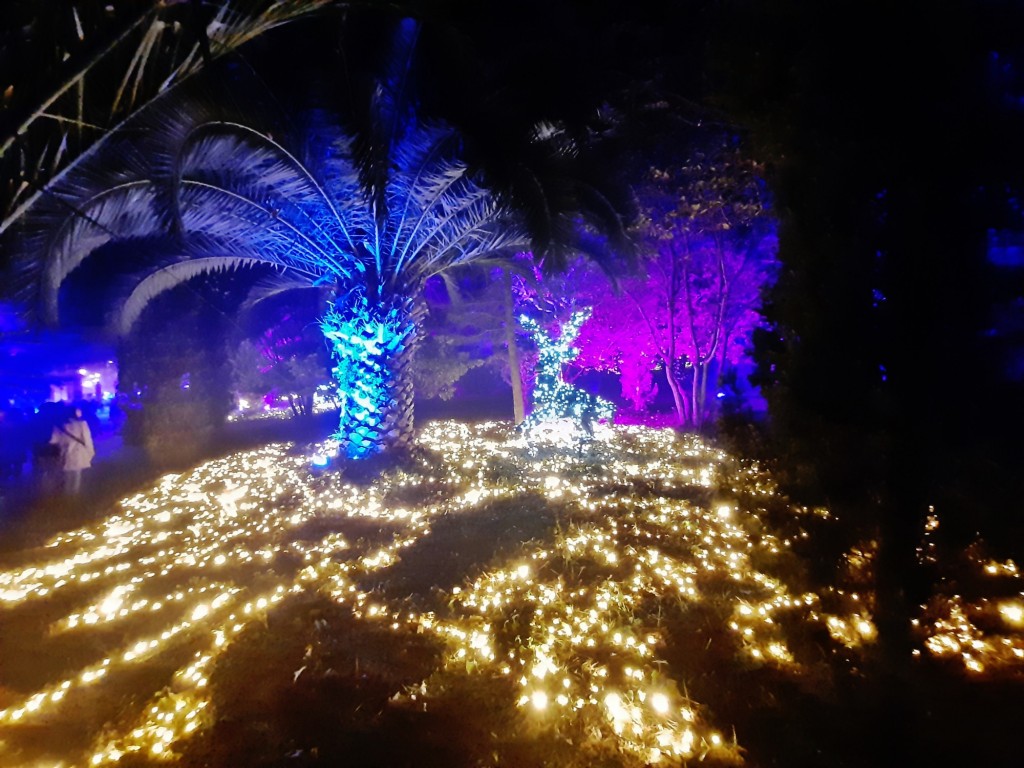 Foto: Espectáculo de luces - Barcelona (Cataluña), España