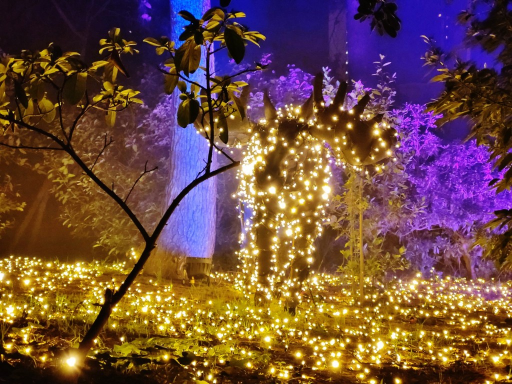 Foto: Espectáculo de luces - Barcelona (Cataluña), España