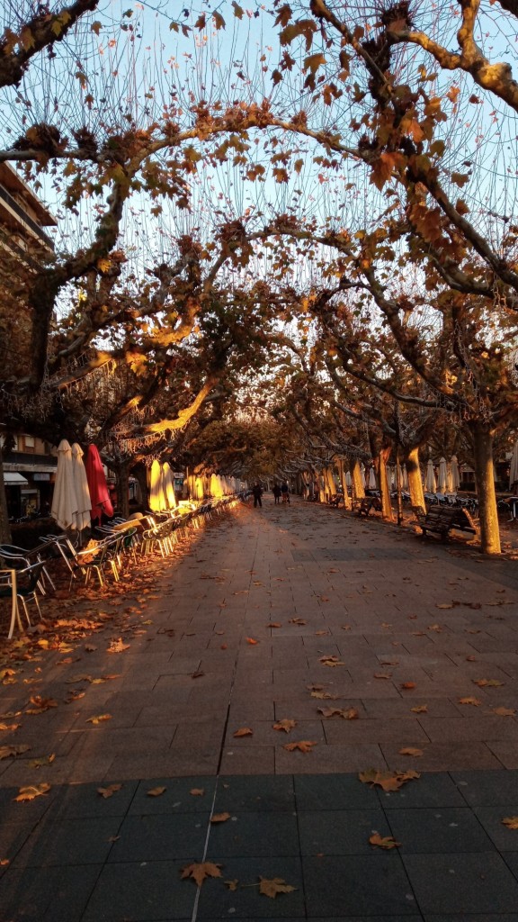 Foto: Paseo Cortes de Aragon - Calatayud (Zaragoza), España