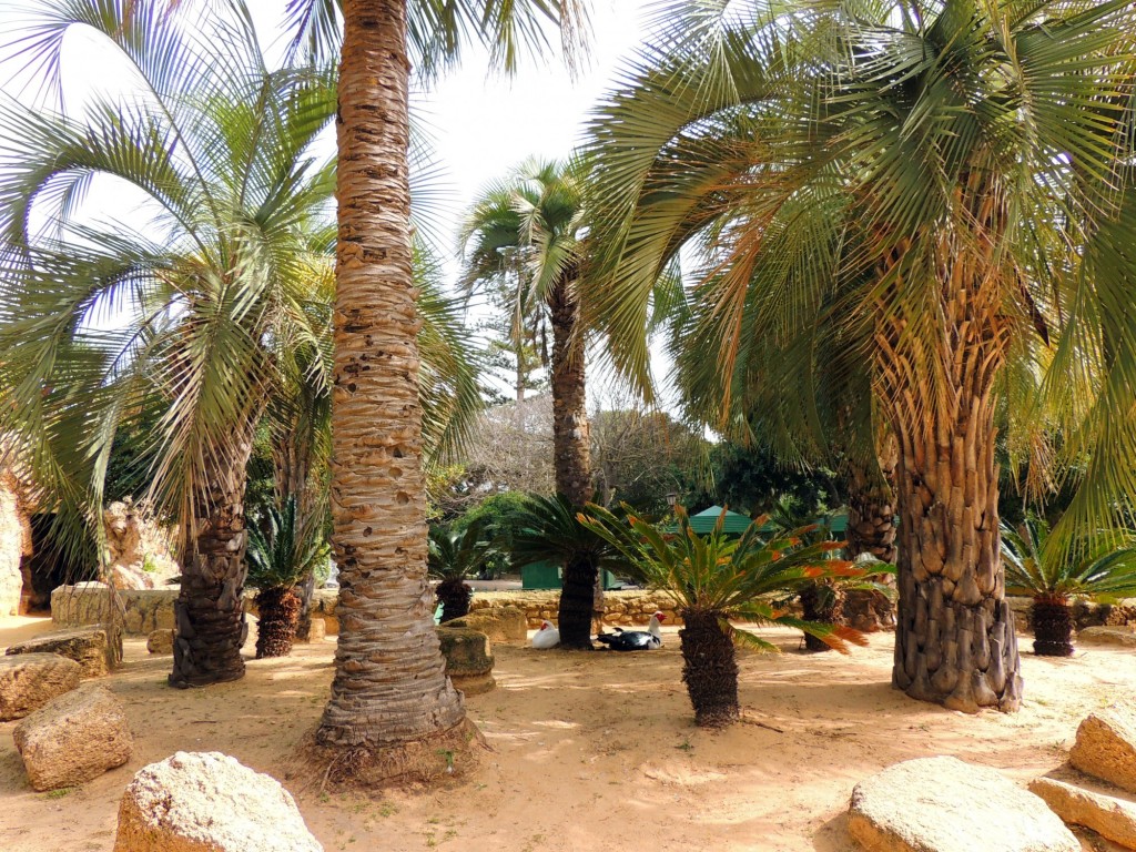 Foto de Cádiz (Andalucía), España