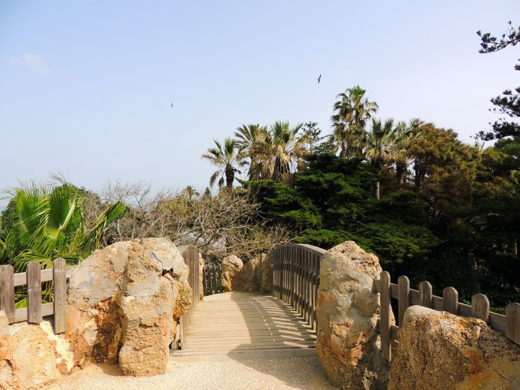 Foto de Cádiz (Andalucía), España