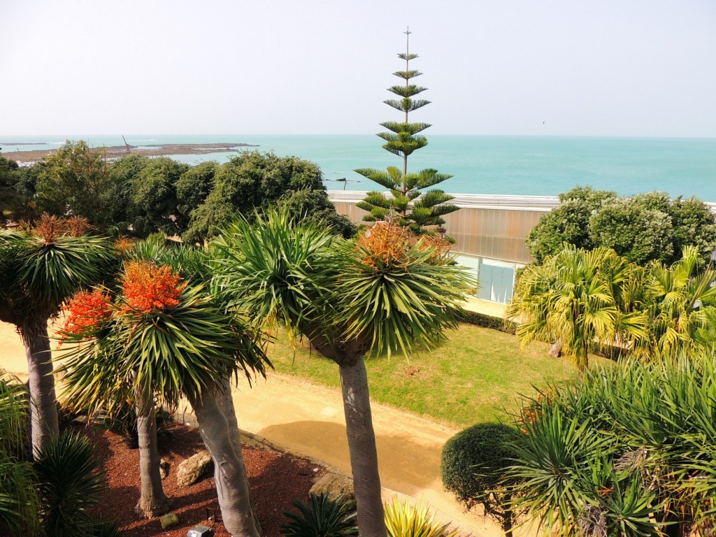 Foto de Cádiz (Andalucía), España