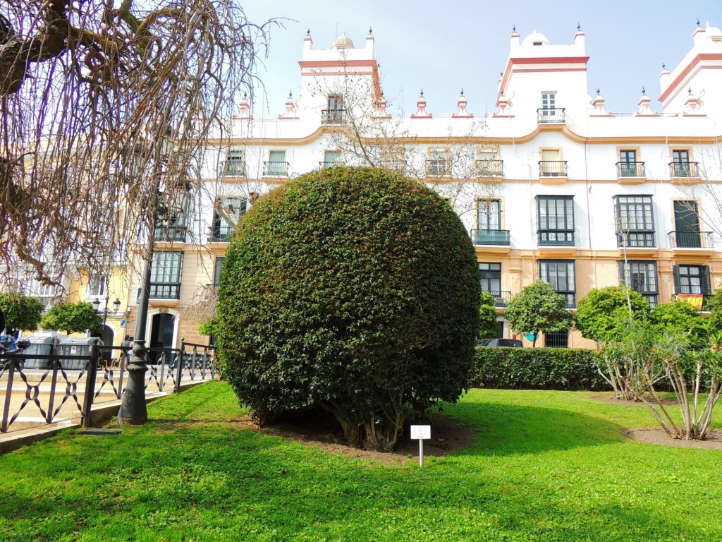 Foto de Cádiz (Andalucía), España