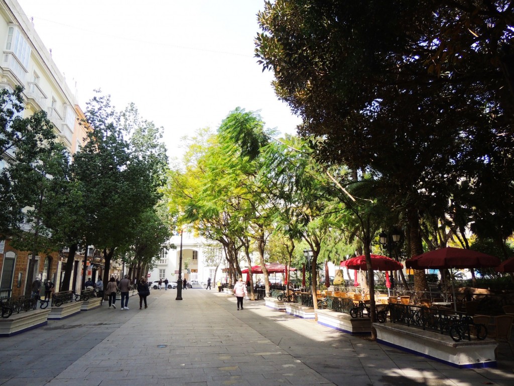 Foto: Plaza de Mina - Cádiz (Andalucía), España